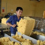 8 tháng xuất khẩu 707.000 tấn cao su