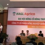 Nếu không được cứu, bầu Đức sẽ bán 20.000 ha cao su cho Trung Quốc
