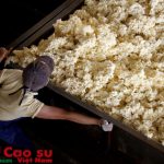 Tập trung hoàn thành cổ phần hóa đúng tiến độ