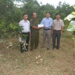 Cao su Hương  Khê  - Hà Tĩnh:  Hơn 20 ha cao su ngập do lũ lụt
