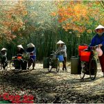 Đẹp lắm