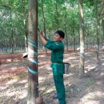 Chưa bao giờ suy nghĩ sẽ nghỉ làm công nhân