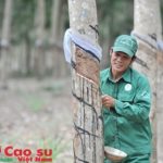 Không ngủ quên trên truyền thống