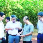 Thêm danh hiệu và giá trị giải thưởng sẽ cao hơn