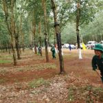 Thợ giỏi Tây Nguyên quyết giành giải Bàn tay vàng