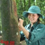 Chiến sĩ vườn cây