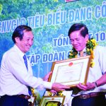 “Chương trình phát triển cao su tại Campuchia phát huy hiệu quả”