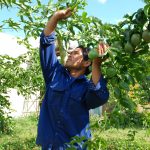 Phát triển kinh tế gia đình: Không chỉ là giải pháp tình thế