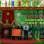 Cao su Bình Long thu nhập trên 7 triệu đồng/người/tháng