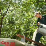 Chủ động, quyết liệt ngay từ đầu năm