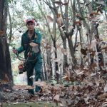 Tháng 3 - Mùa nghỉ cạo