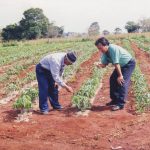 Một ray rứt của tôi trong nghề báo