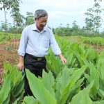 Linh hoạt mở miệng cạo, đảm bảo hiệu quả kinh tế kỹ thuật