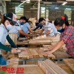 Phải xây dựng thương hiệu gỗ cao su Việt Nam