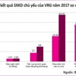 Kỷ niệm 10 năm ra mắt VRG (22/4/2007 - 22/4/2017): Phát triển vượt bậc về mọi mặt