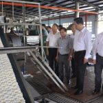 Trên 98% sản phẩm Cao su Dầu Tiếng đạt tiêu chuẩn xuất khẩu