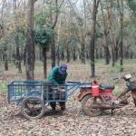 Hồ hởi tin vào một mùa bội thu