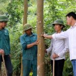 Noong Hẻo vững tin đón “vàng trắng”
