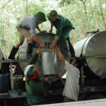 Các công ty cao su Tây Nguyên vượt 9% tiến độ khai thác