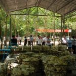 Vườn cây cao su Campuchia – Lào: Hướng đến năng suất cao, bền vững