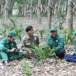 Trở lại với nghề