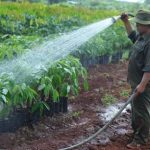 Phong trào thi đua Cao su Đồng  Nai thiết thực, ý nghĩa
