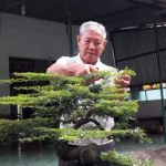 Đoàn kết là sức mạnh để ngành cao su phát triển
