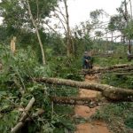 Kêu gọi hỗ trợ người dân miền Trung bị bão lũ