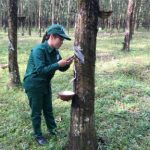 Phan Thị Doanh - Nữ công nhân làm tròn cả hai vai