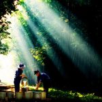 Tự hào để góp sức dựng xây