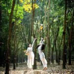 Kết quả Cuộc thi viết ngắn Màu xanh tôi yêu