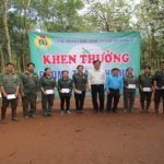 Tiền lương Cao su Đồng Nai đạt trên 6,2 triệu đồng/người/tháng