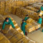 Điều lệ công ty cổ phần: Cơ sở pháp lý quan trọng sau cổ phần hóa