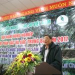 Đưa 2.800 ha cao su khu vực miền núi phía Bắc vào khai thác