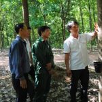 Đời sống công nhân Cao su Sa Thầy khởi sắc
