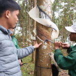 Nơi đất khó “vượt mốc” kế hoạch