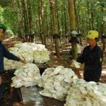 Chạy đua với thời gian