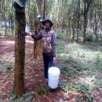 2 năm liên tục vượt gần gấp đôi sản lượng