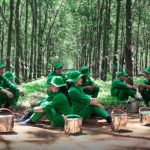 Người lao động nên mua hết cổ phần đã đăng ký
