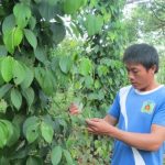 Cả gan lập nghiệp nơi vùng biên