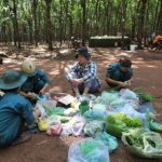 Vùng cao su sầm uất