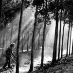 Những mùa đông ấm