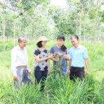 Suất đầu tư giữ nguyên như năm 2017