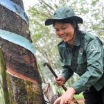Thỏa ước có nhiều điều khoản lợi cho lao động nữ
