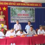 Thiếu lao động khai thác mủ