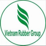 Điều chỉnh cơ cấu cổ phần Công ty mẹ - VRG