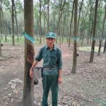 Công nhân ưu tú ở nông trường Bến Củi