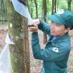 Tuổi trẻ đừng sợ vất vả