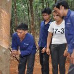 Rơ Lan Bleo - Chàng Jarai “tân tiến” của bản làng