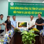 VRG có nhiều đóng góp cho sự phát triển của tỉnh Lai Châu